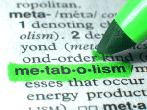 Metabolic Optimization, Metabolic Optimization